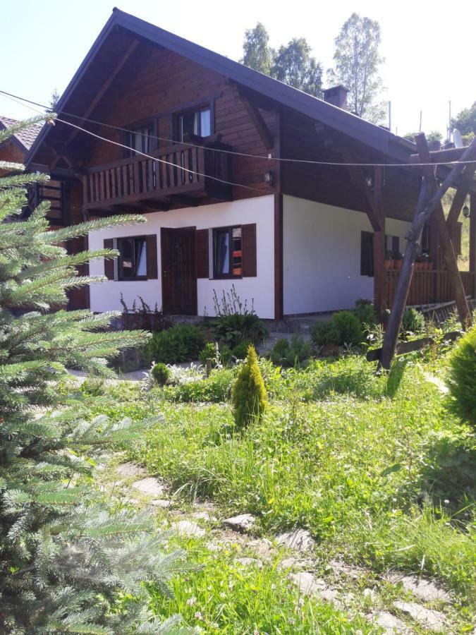 Cottage house Vorokhta Luaran gambar